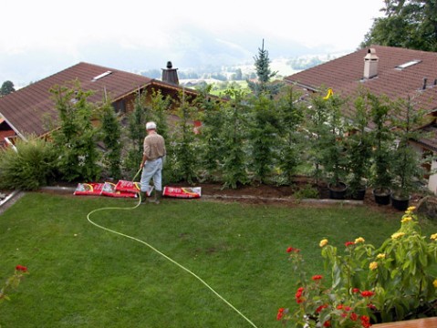 Gardening in 2007