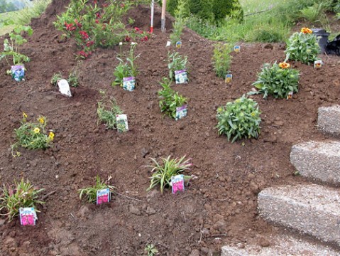 Gardening in 2008