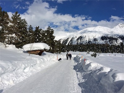 engadin_gallery_2014_001.jpg