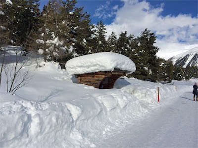 engadin_gallery_2014_002.jpg