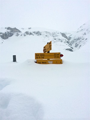 engadin_gallery_2014_018.jpg