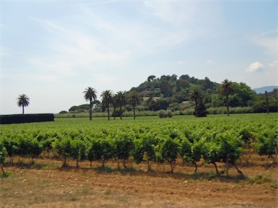 roussillon_gallery_2014_042.jpg