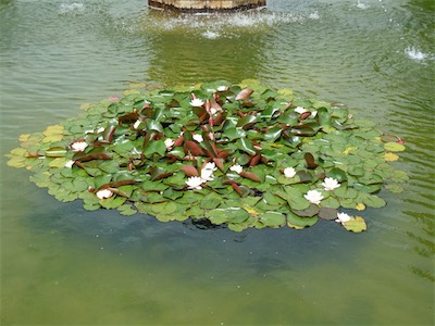 vienna_gallery_2014_076.jpg