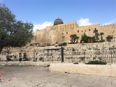 israel_gallery_2015_01_016.JPG