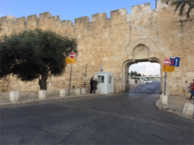 israel_gallery_2015_01_017.JPG