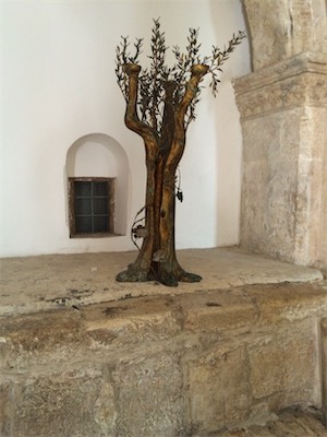 israel_gallery_2015_01_024.JPG