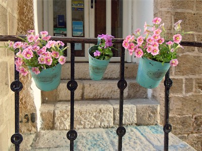 israel_gallery_2015_06_025.JPG