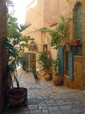 israel_gallery_2015_06_027.JPG