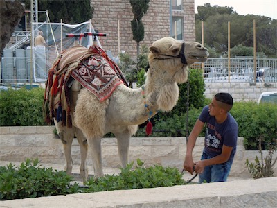 israel_gallery_2015_06_041.JPG