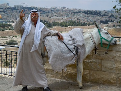 israel_gallery_2015_06_049.JPG