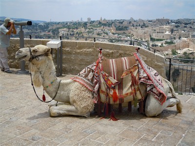 israel_gallery_2015_06_050.JPG