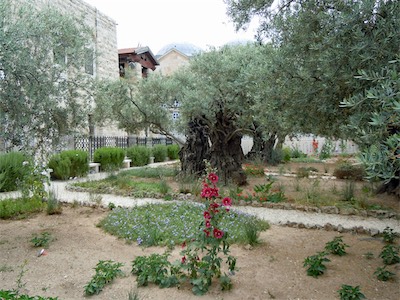 israel_gallery_2015_06_058.JPG