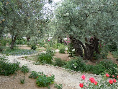 israel_gallery_2015_06_059.JPG