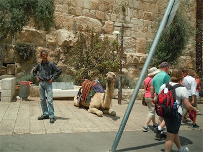 israel_gallery_2015_06_063.JPG