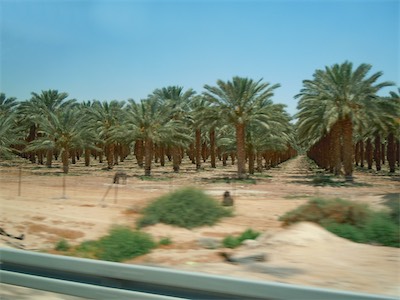 israel_gallery_2015_06_106.JPG