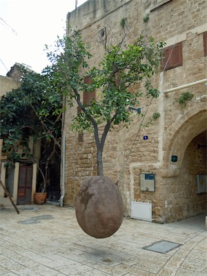 israel_gallery_2016_02_004.JPG