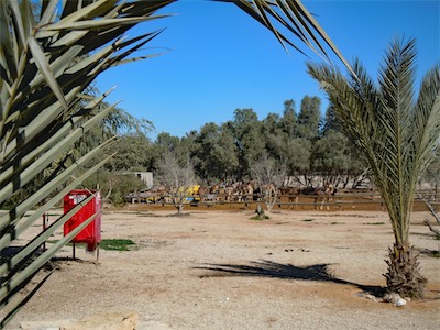 israel_gallery_2016_02_013.JPG