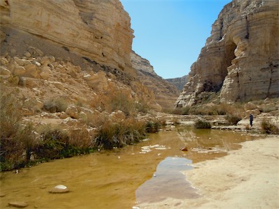 israel_gallery_2016_02_022.JPG