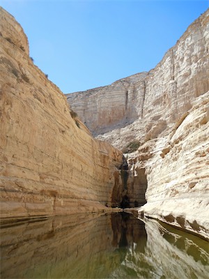 israel_gallery_2016_02_025.JPG