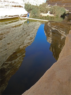 israel_gallery_2016_02_027.JPG
