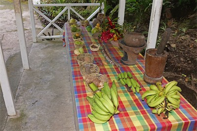 saint_lucia_island_2017_traveling_17_047.jpg