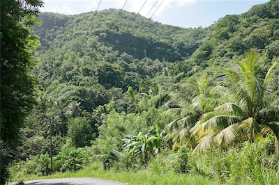 saint_lucia_island_2017_traveling_17_078.jpg
