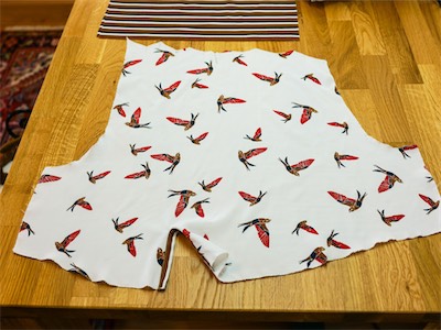 bird_blouse_gallery_2018_005.JPG