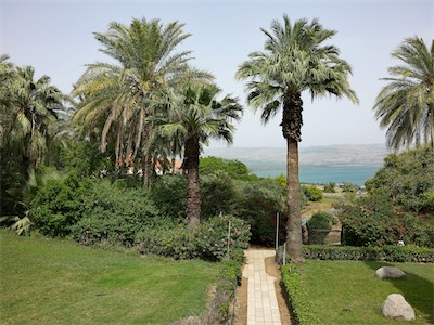 israel_IV_18_107.jpg