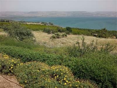 israel_IV_18_112.jpg