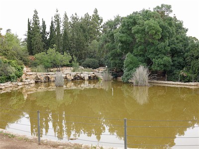 israel_IV_18_200.jpg