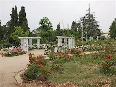 israel_IV_18_201.jpg