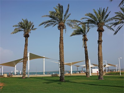 israel_V_18_222.jpg