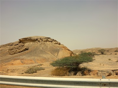 israel_V_18_241.jpg
