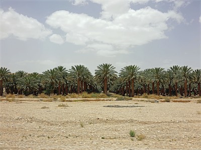 israel_V_18_245.jpg