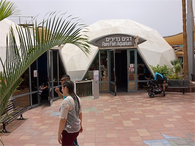 israel_V_18_274.jpg