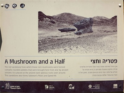 israel_V_18_302.jpg