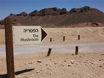 israel_V_18_314.jpg