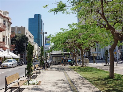 israel_V_18_440.jpg