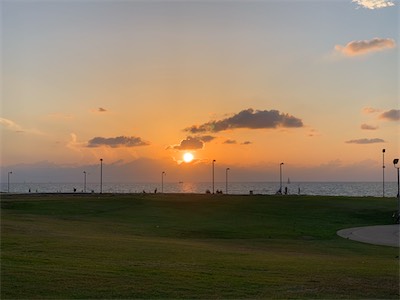 israel_X_gallery_2018_013.jpg
