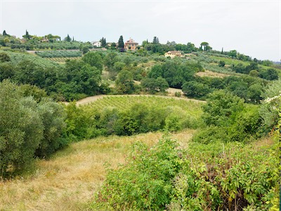 it_1807_040.jpg
