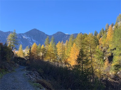 switzerland_18_007.jpg