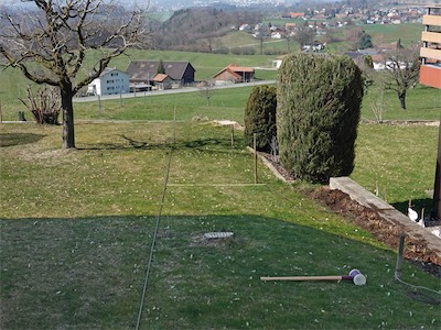 hornbeam_iv_2019_001.jpg