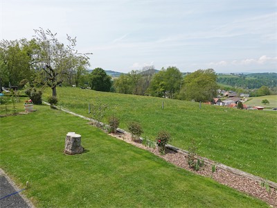 hornbeam_v_2019_021.jpg