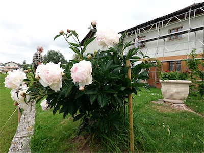 facade_19_008.jpg