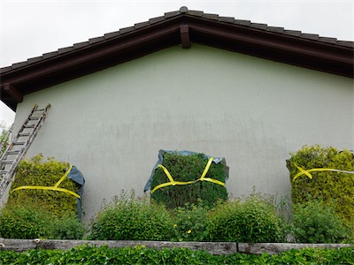 facade_19_014.jpg