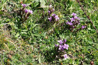 col_de_chaude_19_012.jpg