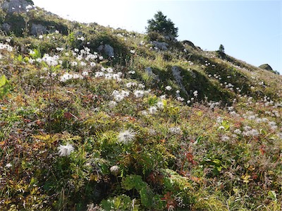 col_de_chaude_19_017.jpg