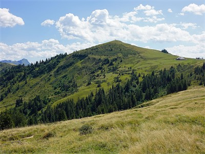 cousimbert_19_001.jpg