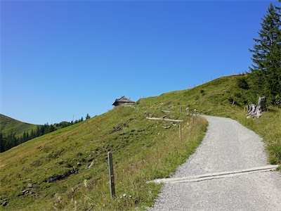 cousimbert_19_003.jpg