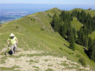 cousimbert_19_005.jpg